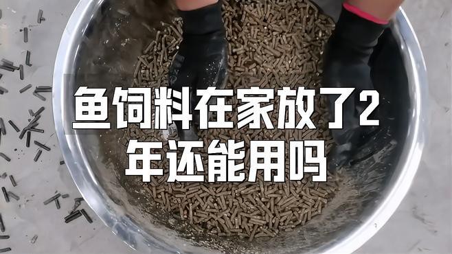 自制紅龍魚飼料能保存多久？【如何自制紅龍魚飼料？】