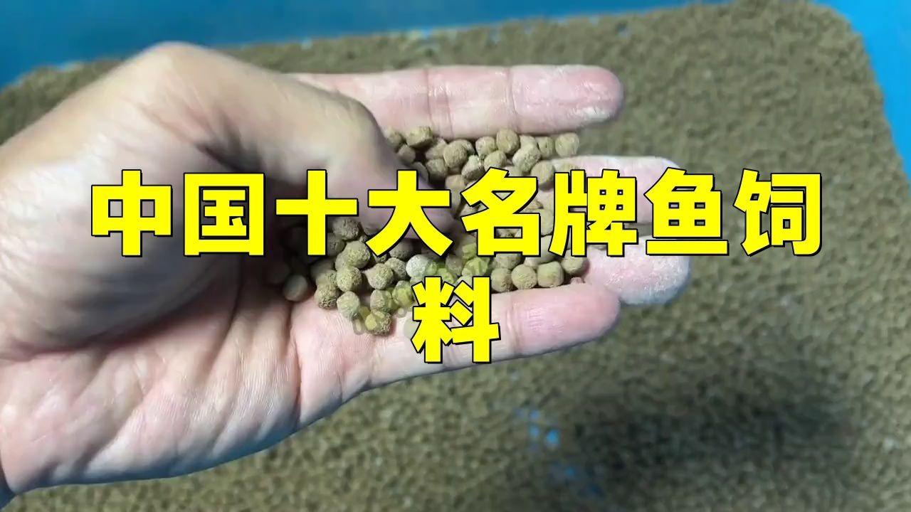 十大公認(rèn)最好的魚飼料【2025年公認(rèn)十大優(yōu)質(zhì)魚飼料品牌及其核心特點(diǎn)】