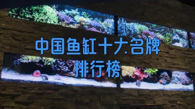 最高端的魚缸品牌【最高端魚缸品牌top10權威榜單出爐德國水族箱品牌出爐】