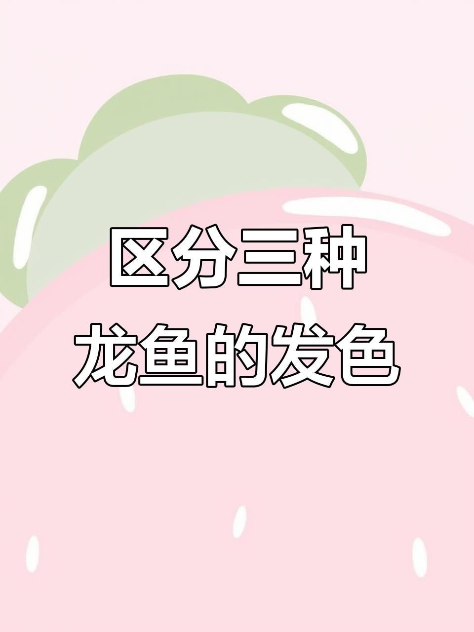 辣椒紅龍和血紅龍區(qū)別【紅龍魚品種大揭秘:辣椒、血紅與橙紅龍的區(qū)別】