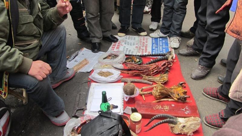抖音賣緬甸虎骨的是真的嗎【關(guān)于抖音上售賣緬甸虎骨的公告】