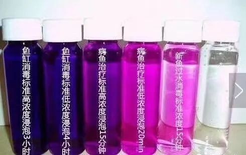 水族藥品排名前十【京東水族藥品排行榜京東水族魚藥品牌排行榜京東水族魚藥品牌排行榜】