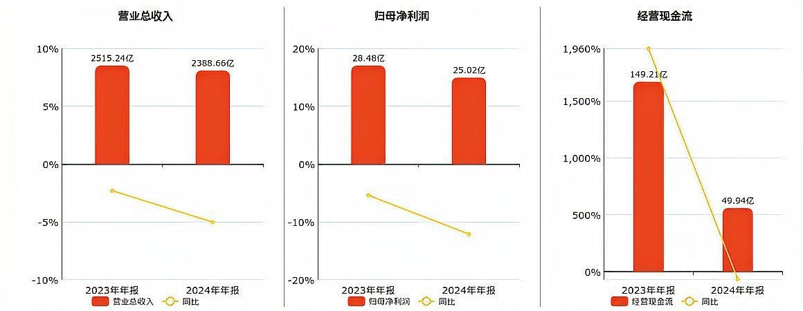 金龍魚2024年年報【《金龍魚2024年年報摘要》】