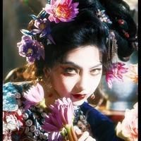 紅辣椒經典語錄【《紅辣椒》經典語錄】