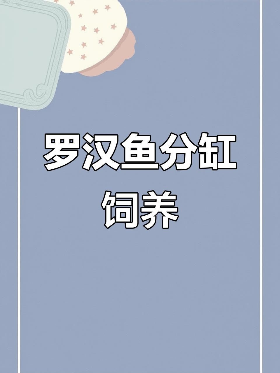 羅漢魚2厘米幼苗怎么養【羅漢魚苗飼養技巧】