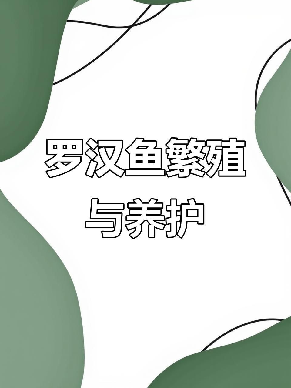 羅漢魚2厘米幼苗怎么養【羅漢魚苗飼養技巧】