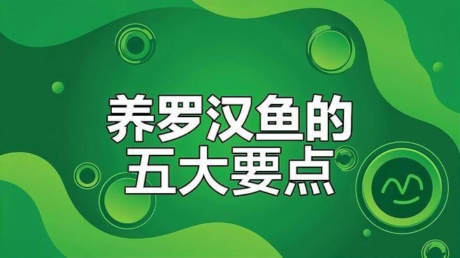 羅漢魚2厘米幼苗怎么養【羅漢魚苗飼養技巧】