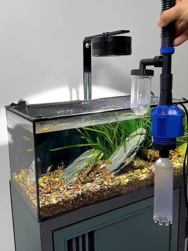 可麗愛魚缸糞便收集器【可麗愛魚缸糞便收集器大揭秘】