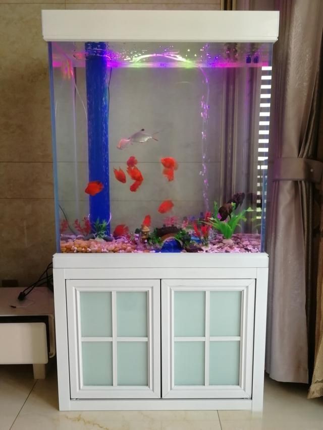 可麗愛魚缸糞便收集器【可麗愛魚缸糞便收集器大揭秘】