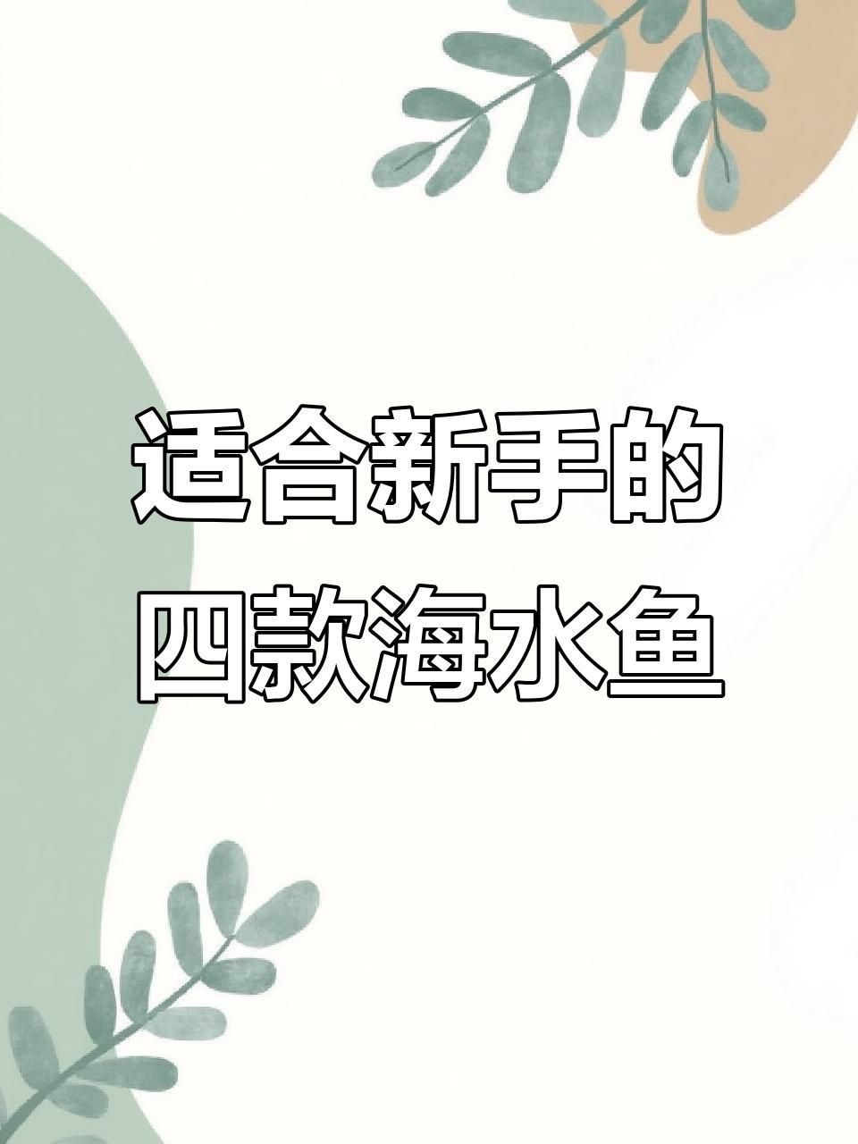 十大最好養(yǎng)的海水魚(yú)【新手養(yǎng)海水魚(yú)嗶哩嗶哩嗶哩嗶哩嗶哩嗶哩嗶哩盤(pán)點(diǎn)】