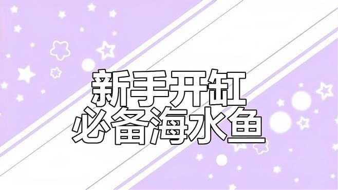 十大最好養(yǎng)的海水魚(yú)【新手養(yǎng)海水魚(yú)嗶哩嗶哩嗶哩嗶哩嗶哩嗶哩嗶哩盤(pán)點(diǎn)】