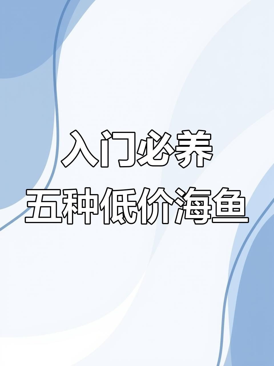十大最好養(yǎng)的海水魚(yú)【新手養(yǎng)海水魚(yú)嗶哩嗶哩嗶哩嗶哩嗶哩嗶哩嗶哩盤(pán)點(diǎn)】