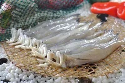 龍頭魚產地是哪里【中國]-龍頭魚科普中國]-龍頭魚】