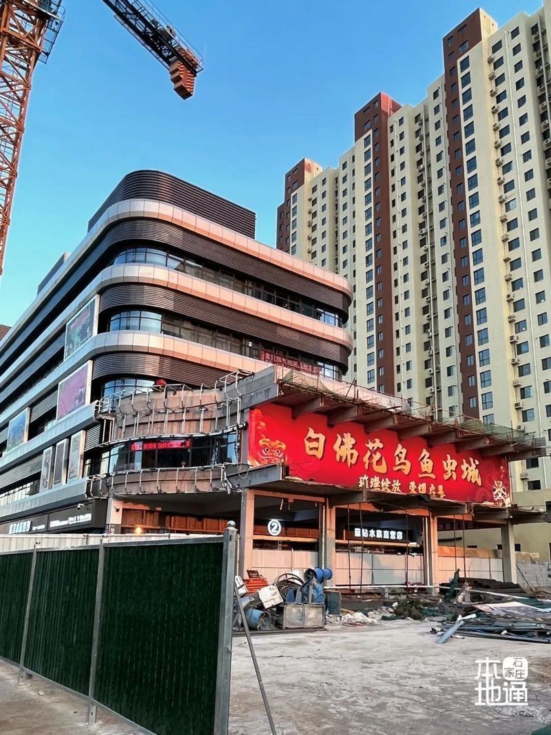 石家莊觀賞魚批發(fā)市場【石家莊觀賞魚市場】