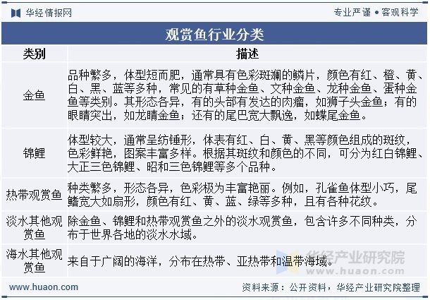 石家莊觀賞魚批發(fā)市場【石家莊觀賞魚市場】