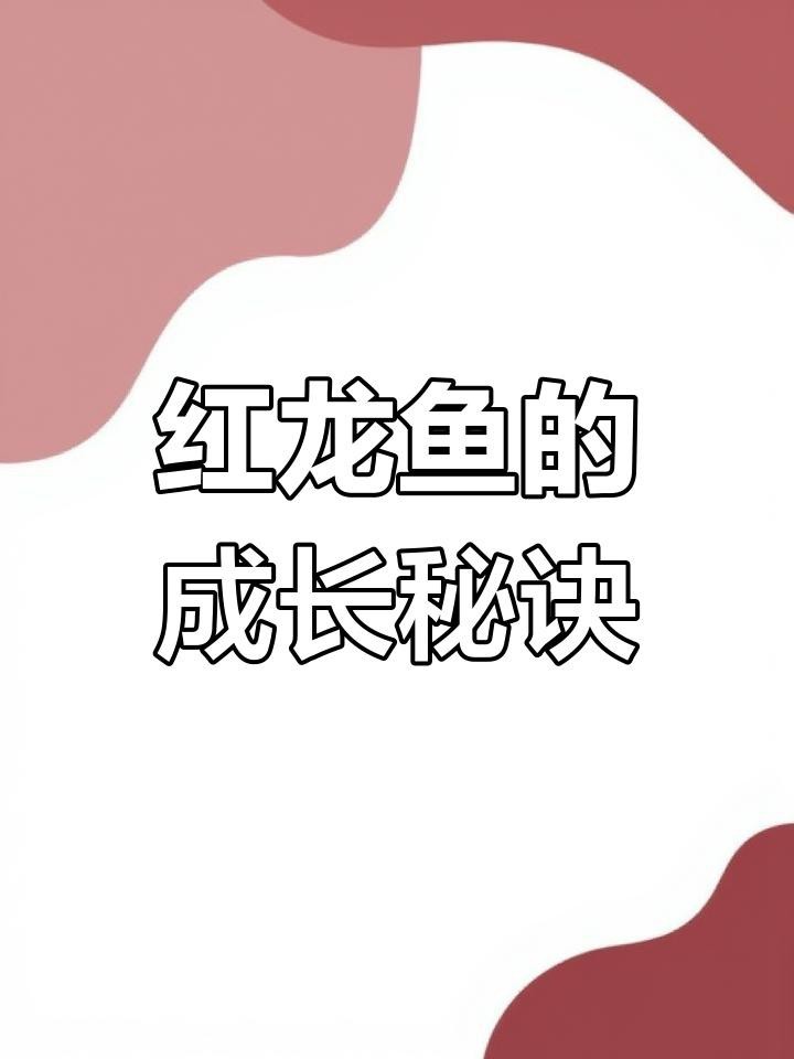 紅龍魚的最佳飼養水質參數【紅龍魚水溫度多少合適北游lumi紅龍魚飼養全攻略】