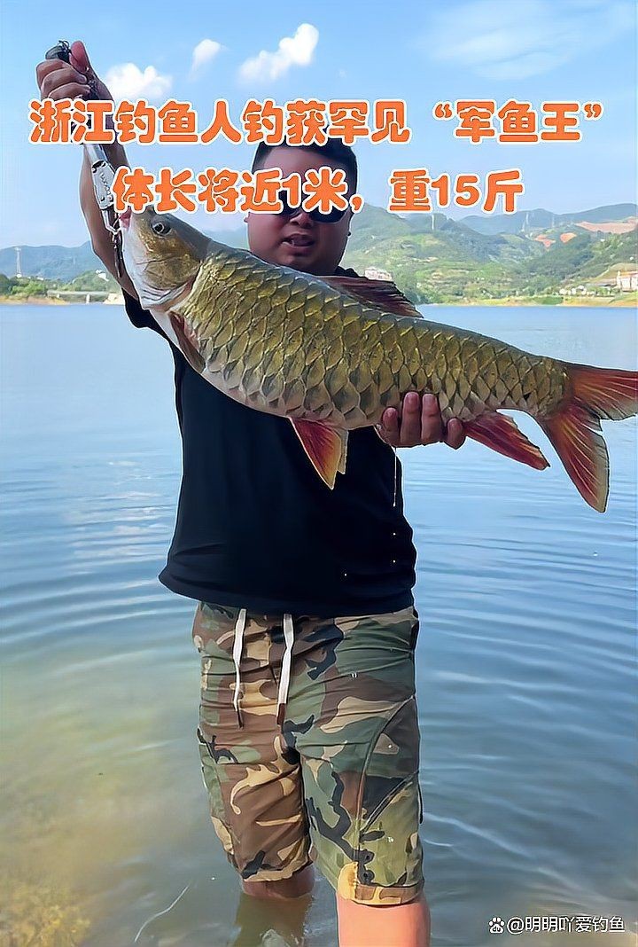 軍魚市場價多少錢一斤【軍魚的市場價格】