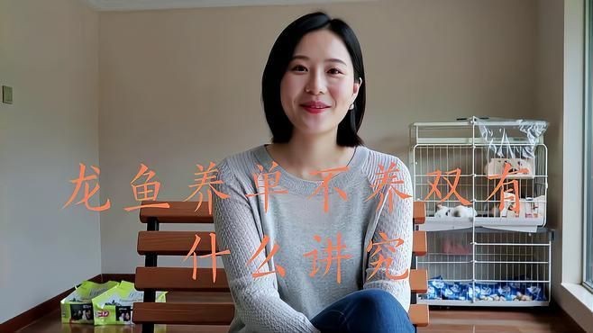 龍魚養幾只好【龍魚一般一缸養幾條合適】