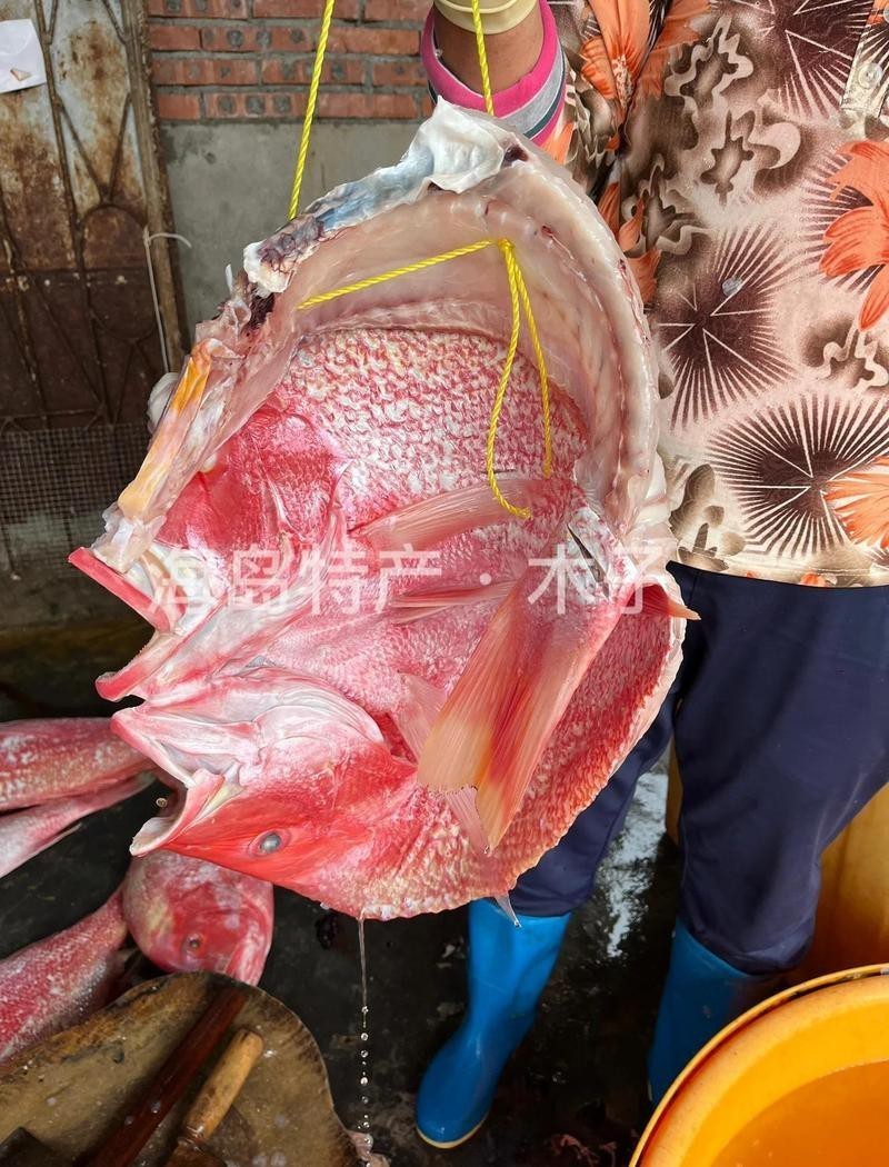曬干的紅頭魚一斤多少錢【紅頭魚價格走勢分析】