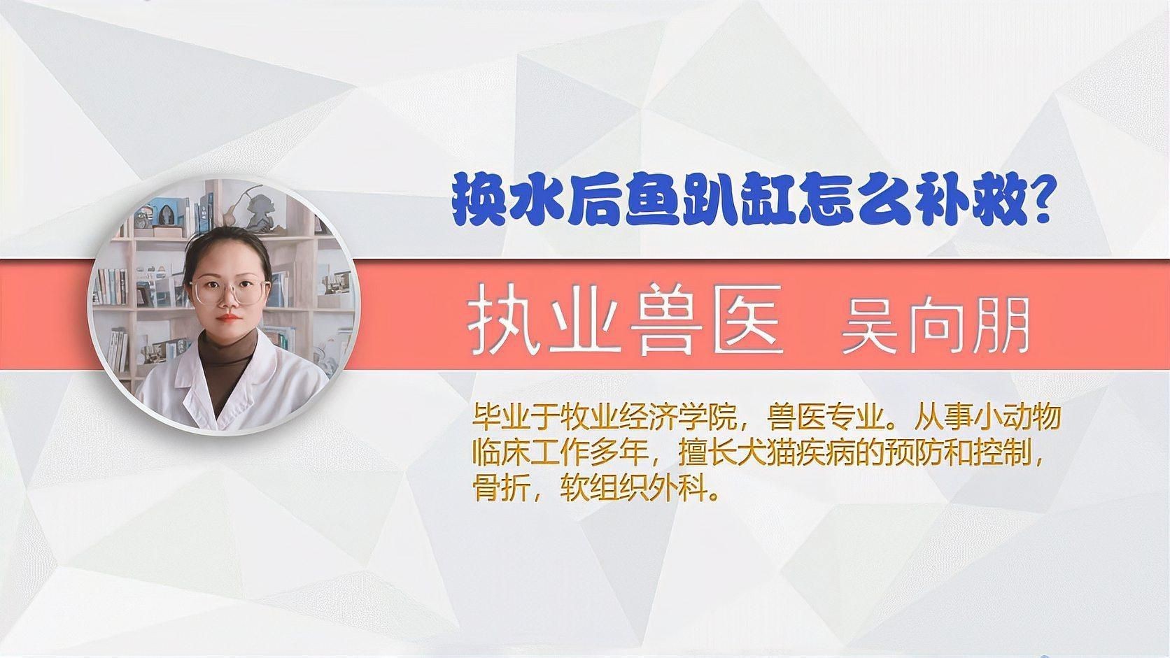 魚趴缸期間需要喂食嗎？【換水后魚趴缸怎么補救魚趴缸期間是否需要喂食】