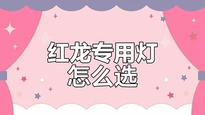 適合紅龍的燈光顏色【幼龍以暖黃光鋪底，紅龍鱗片色彩如何提升燈光選擇全攻略綺書女】