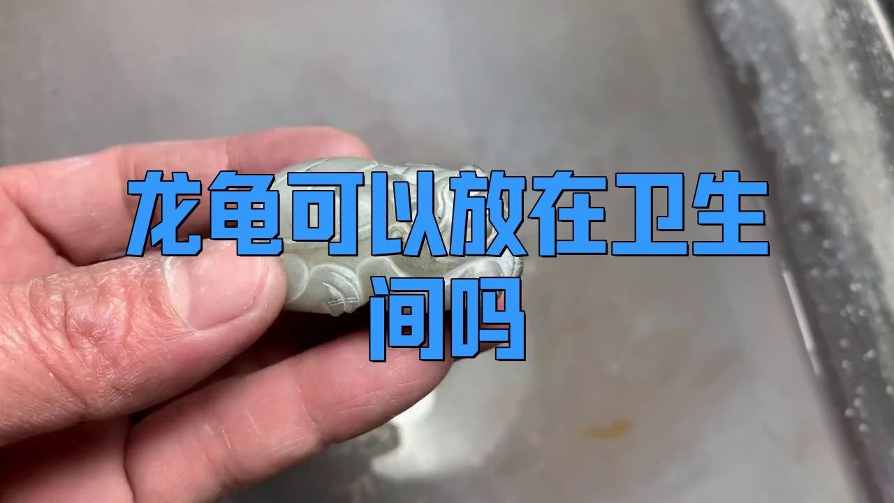 衛生間擺放龍龜有哪些禁忌？【龍龜可以放在衛生間嗎】