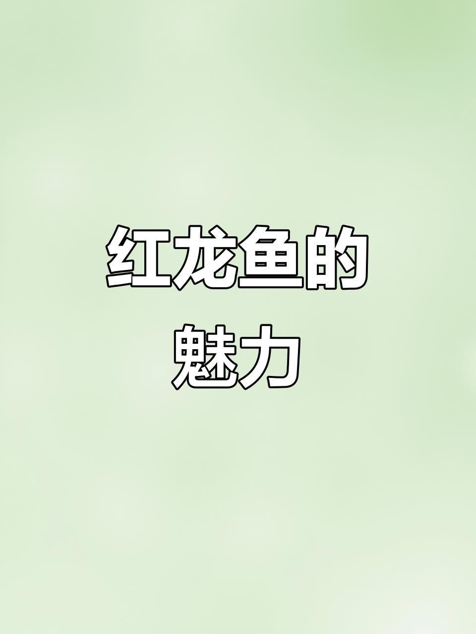 綠皮紅龍好嗎【《綠皮紅龍：優(yōu)劣并存的寶可夢》綠皮紅龍魚層次分明艷麗奪目】