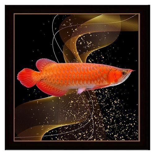 金龍魚微信頭像圖片【《金龍魚微信頭像圖片：獨(dú)特與多元的視覺呈現(xiàn)》】