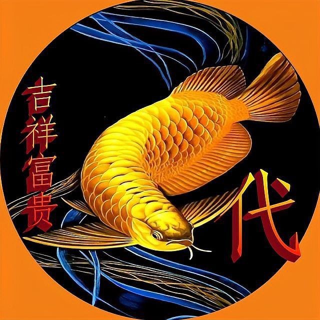 金龍魚微信頭像圖片【《金龍魚微信頭像圖片：獨(dú)特與多元的視覺呈現(xiàn)》】