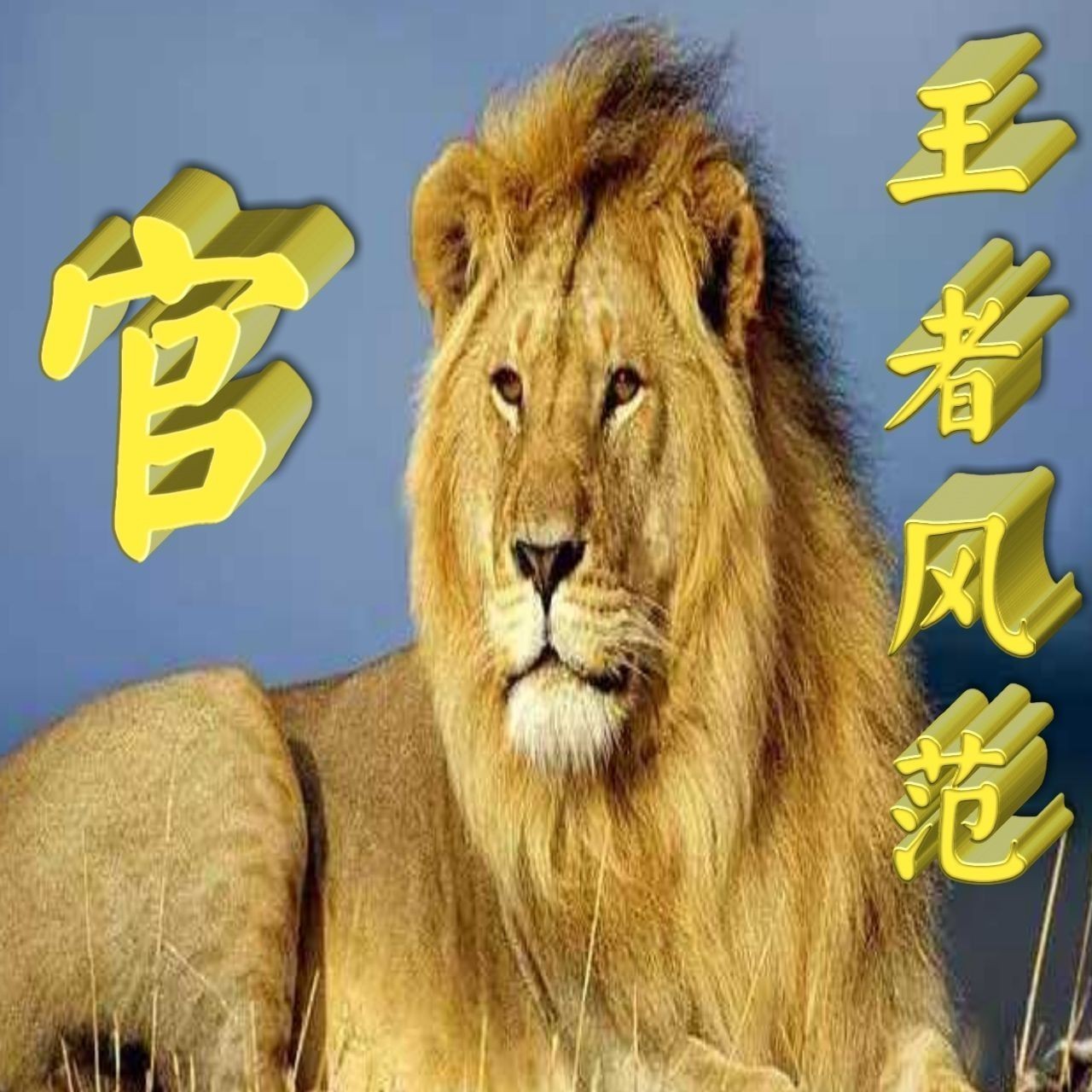 金龍魚微信頭像圖片【《金龍魚微信頭像圖片：獨(dú)特與多元的視覺呈現(xiàn)》】
