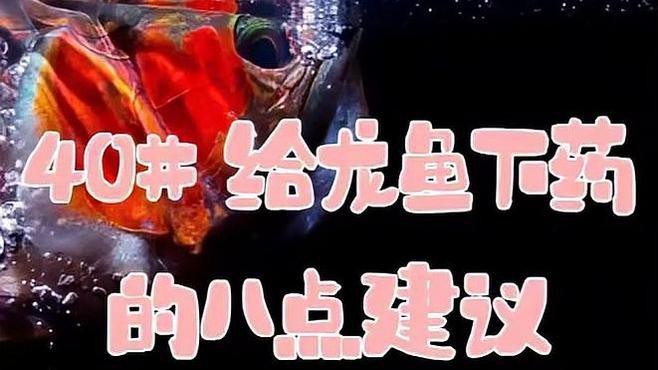 紅龍魚飼養(yǎng)中如何預(yù)防藥物中毒？【養(yǎng)魚大全(第52期)魚類中毒和解救水花魚】