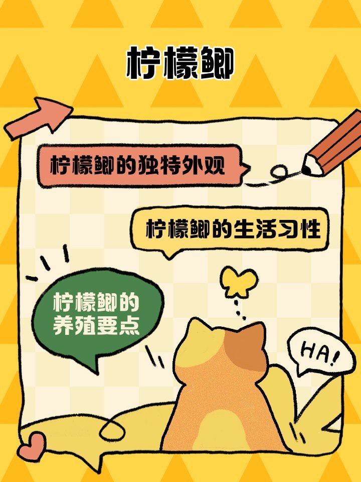 檸檬鯽的正確喂養(yǎng)方法【《檸檬鯽的正確喂養(yǎng)方法》】