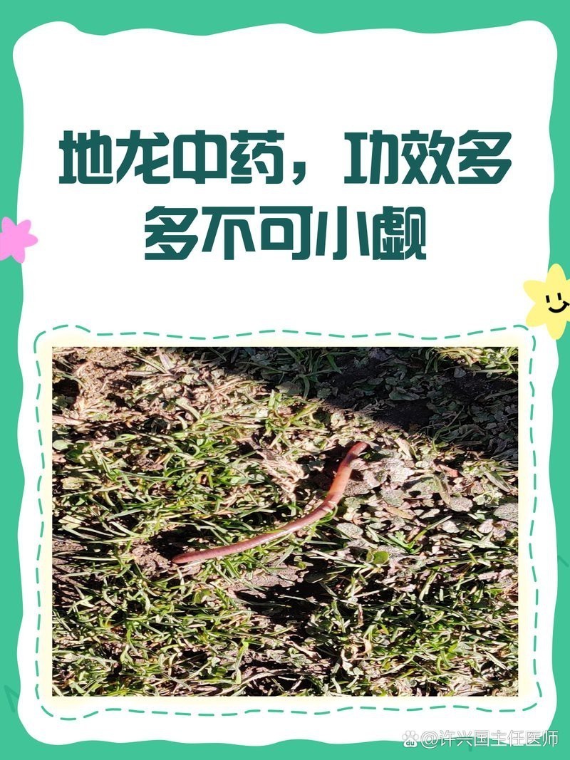 地龍開最佳答案【地龍開最佳答案將\
