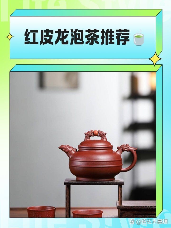 紅皮龍最建議泡什么茶【紅皮龍泡什么茶最好】