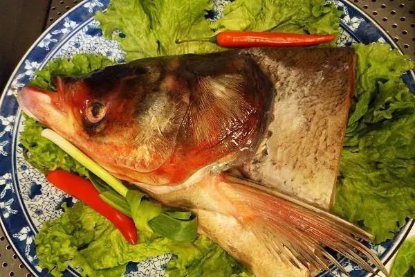 龍頭魚有毒嗎【龍頭魚為什么不能吃王春華為什么不能吃龍頭魚】