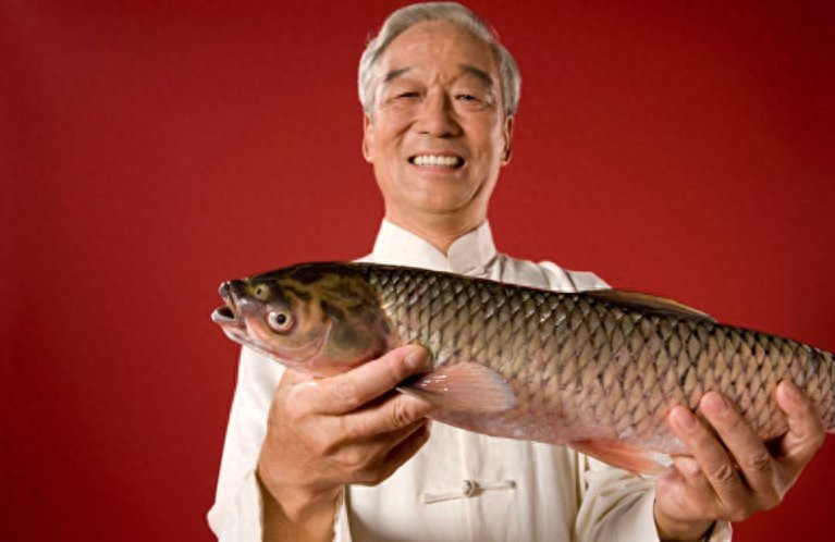 龍頭魚有毒嗎【龍頭魚為什么不能吃王春華為什么不能吃龍頭魚】
