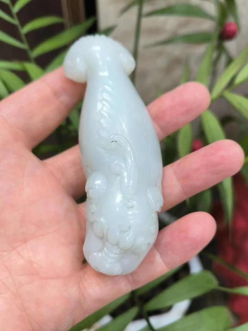 龍魚紋身寓意【龍魚紋身具有豐富的寓意從文化角度看龍魚紋身具有豐富的寓意】
