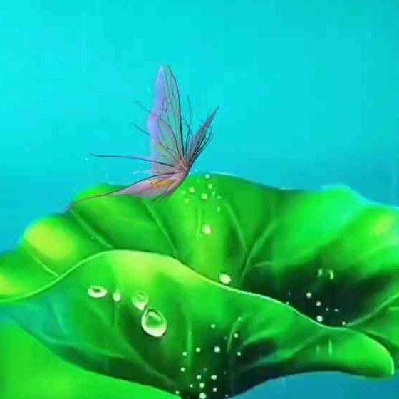 魟魚鰩魚蝠鲼的區別【魟魚、鰩魚、蝠魚、蝠鲼的區別】