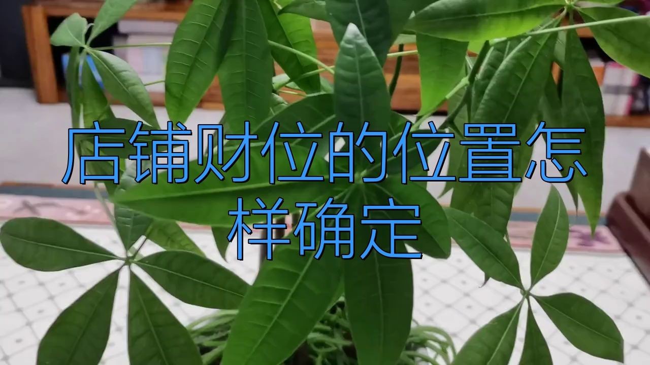 龍魚批發價目表最新，如何判斷龍魚的品種？，煥環祥吉祥招財龍魚玉石擺件龍魚批發價目表哪個品種最貴