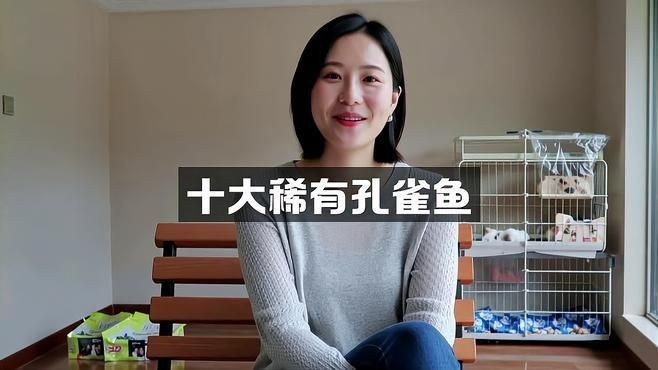 孔雀魚最不值錢的品種【「收藏」15個孔雀魚品種圖鑒】