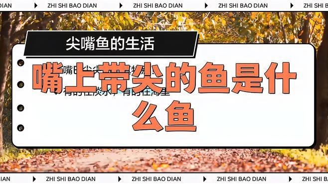 淡水尖嘴魚叫什么名字【天一有surprise嘴上帶尖的魚是什么魚】