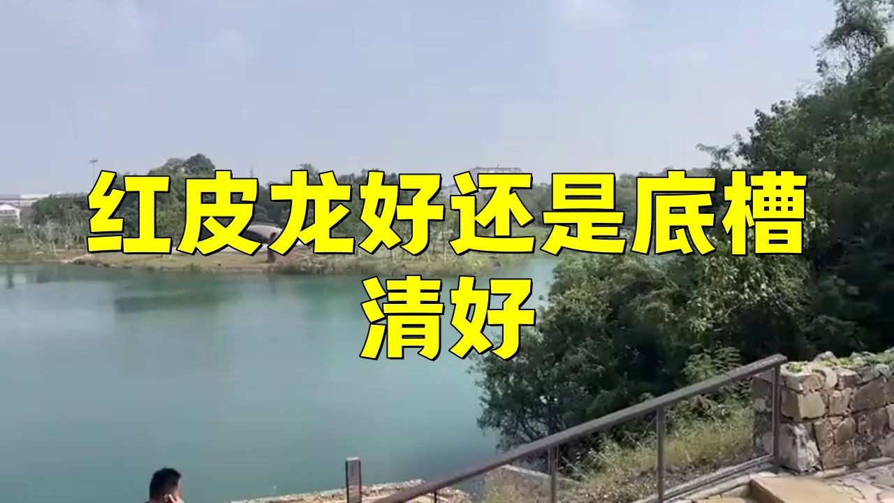 紅皮龍好還是底槽清好【紅皮龍和底槽清哪種泥料好】