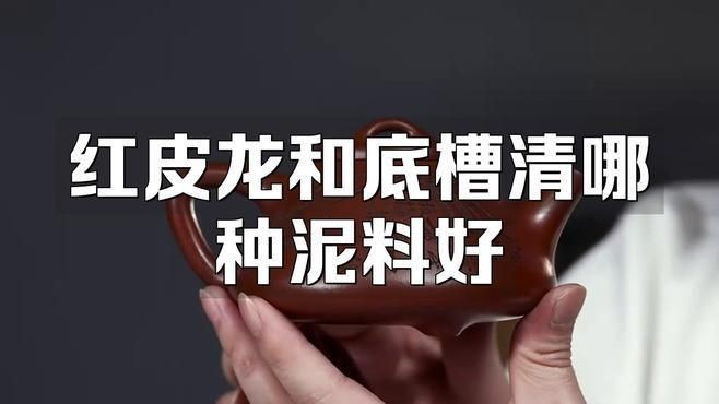 紅皮龍好還是底槽清好【紅皮龍和底槽清哪種泥料好】