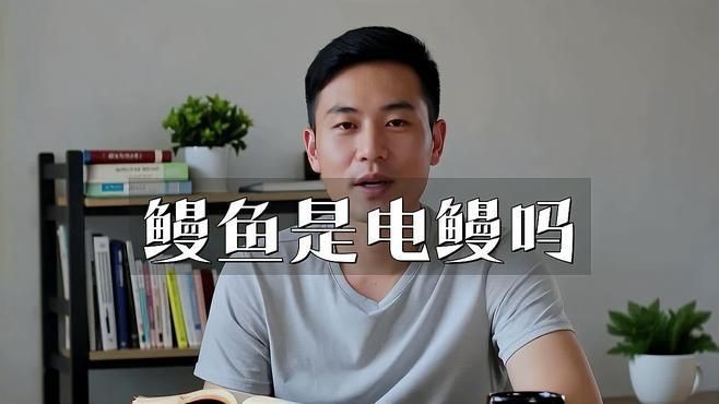 鰻魚與電鰻的區(qū)別【電鰻和鰻魚有什么區(qū)別？】