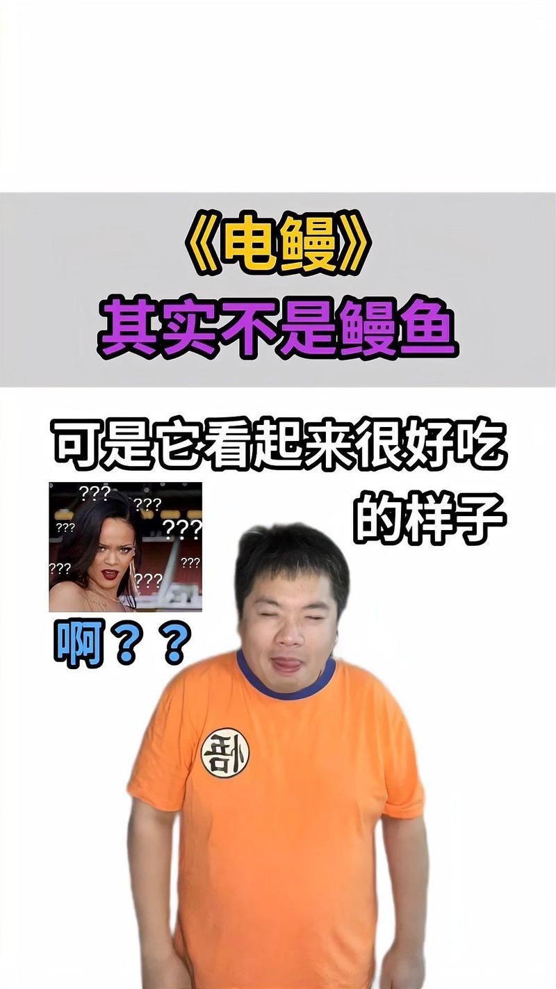 鰻魚與電鰻的區(qū)別【電鰻和鰻魚有什么區(qū)別？】