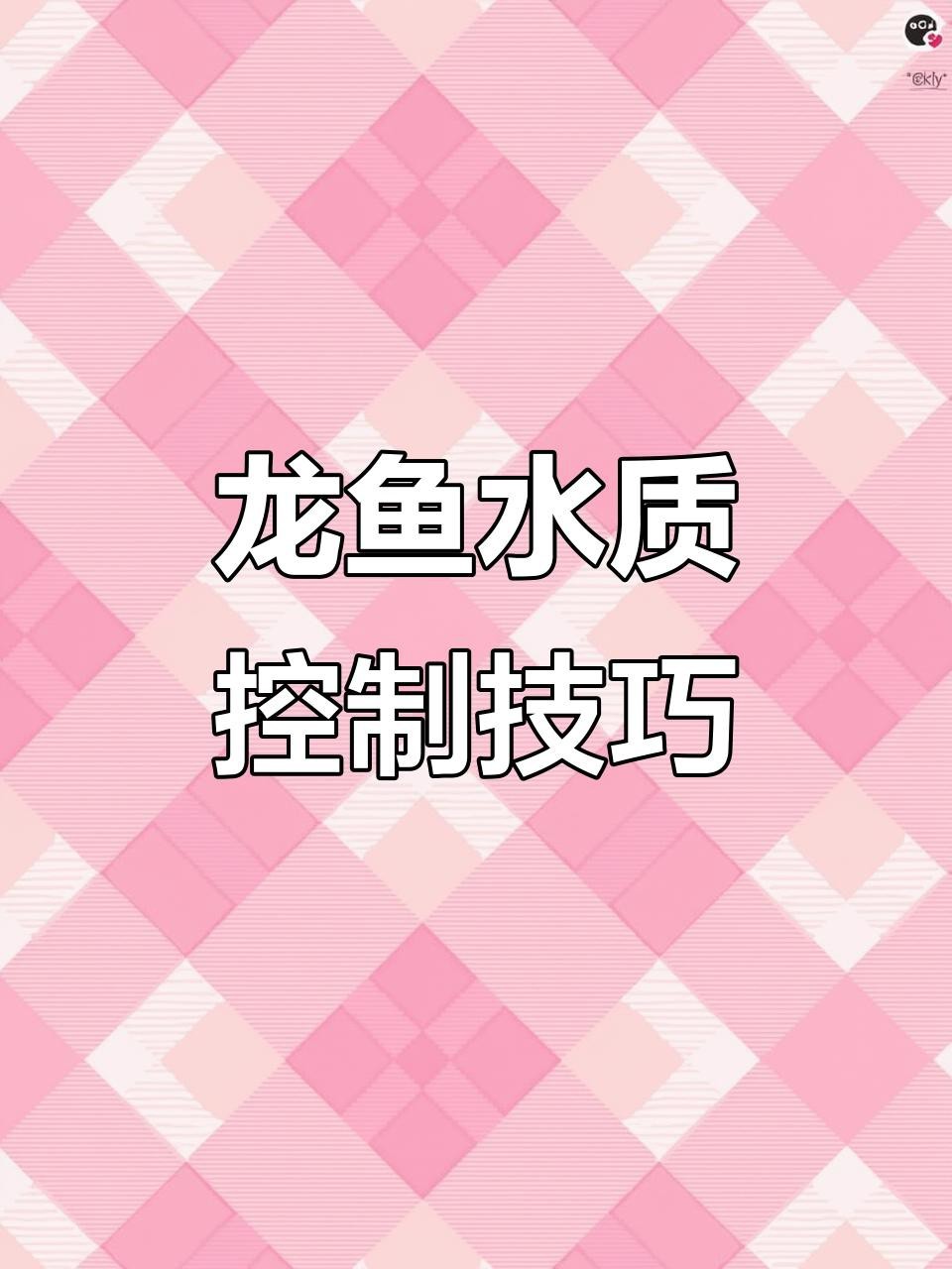 如何預防龍魚鰓蓋起水泡？【農情萬家,龍魚水泡病防治全攻略】