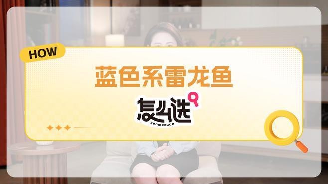 能詳細說說藍色系雷龍魚嗎？【全面解析藍色系雷龍魚怎么選】