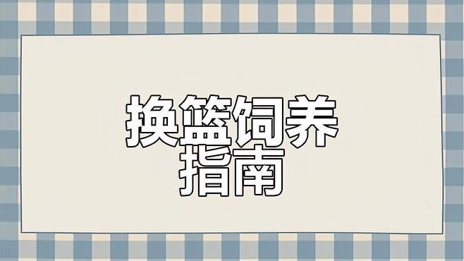 能詳細說說藍色系雷龍魚嗎？【全面解析藍色系雷龍魚怎么選】
