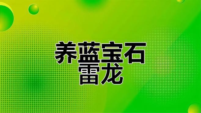 能詳細說說藍色系雷龍魚嗎？【全面解析藍色系雷龍魚怎么選】