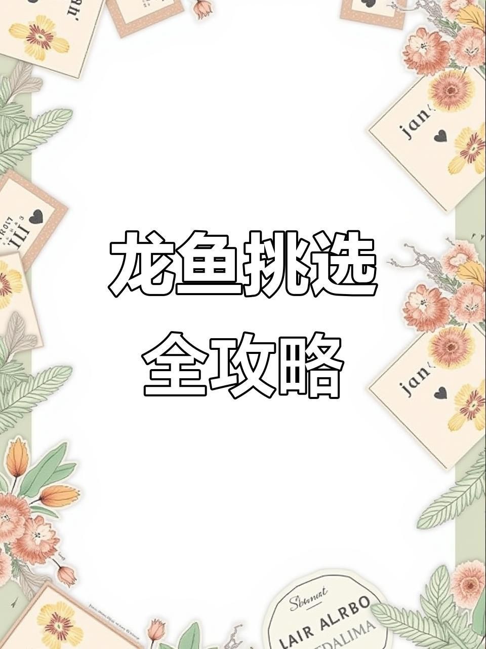 如何挑選健康的龍魚？【多肉寶寶選購(gòu)龍魚避坑指南:如何挑選三八旺龍魚的潛力股】